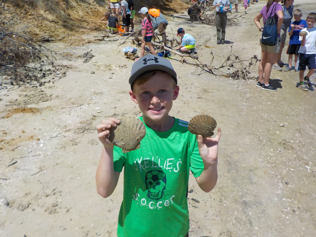 The accidental fossil discovery made by a child on a family beach walk that turned out to be one of the most complete specimens of its kind ever found