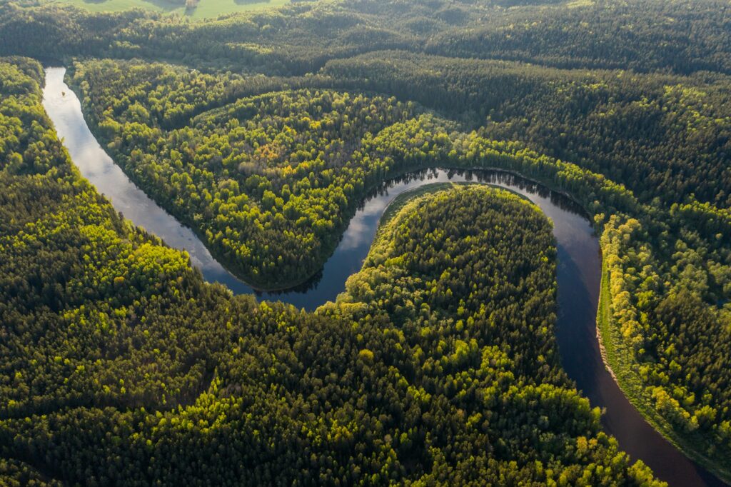 Science says the Amazon rainforest was partly planted by prehistoric humans over thousands of years - and that what looks like wilderness is in many places a cultivated ancient landscape