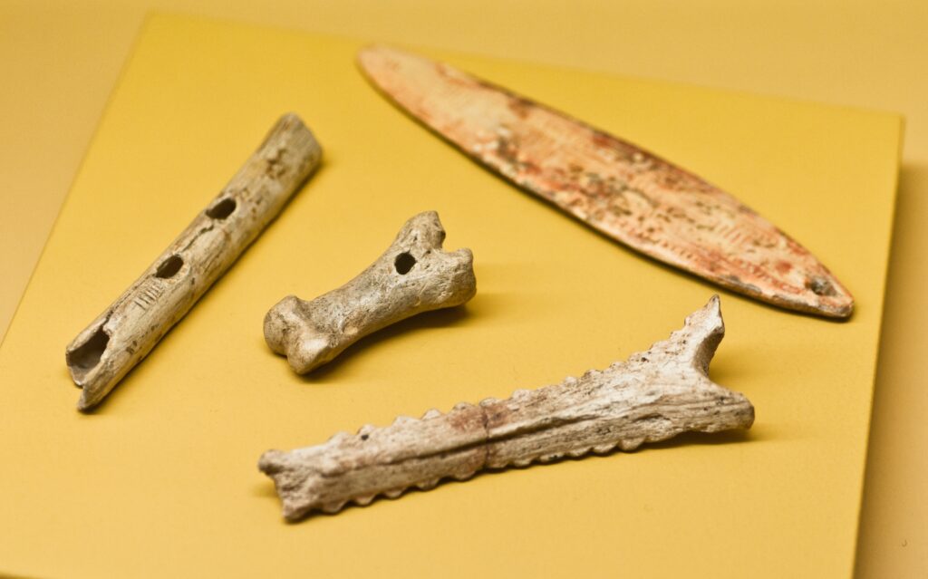 Paleoanthropology Says Early Music Was Not Primitive - Instruments Predate Agriculture and Are Shockingly Complex