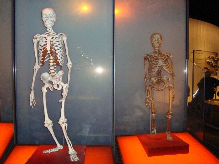 7 Prehistoric Stories That Sound Like Movie Plots