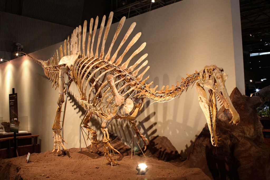 10 Fossils That Were Found Completely by Accident