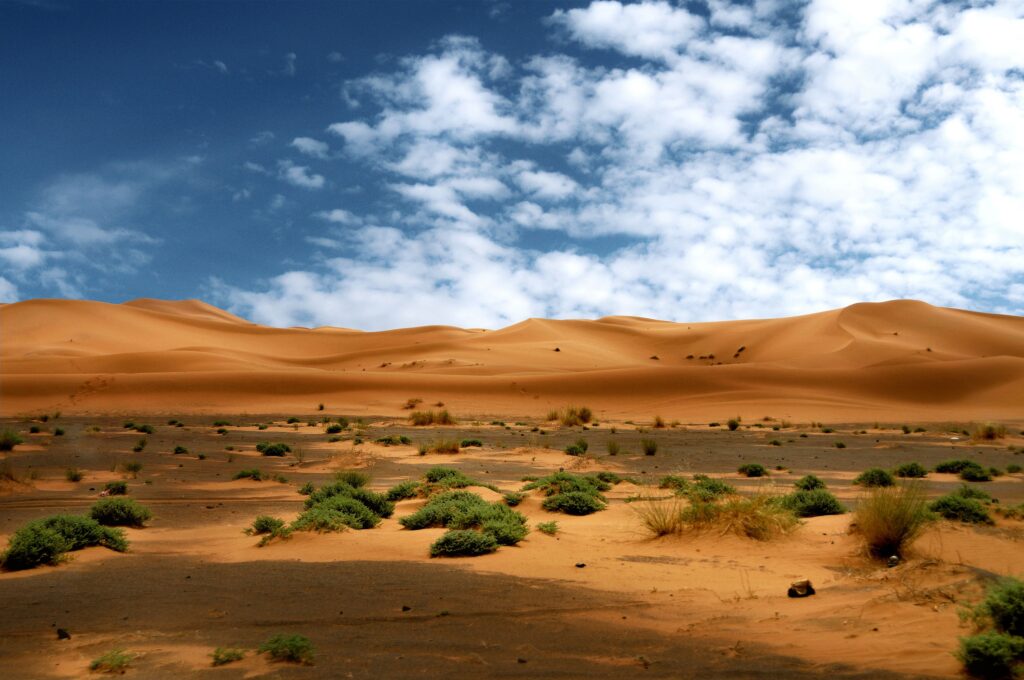 The prehistoric graveyard discovered in the Sahara that contained hundreds of individuals from a culture that vanished so completely no trace of them had ever been found before