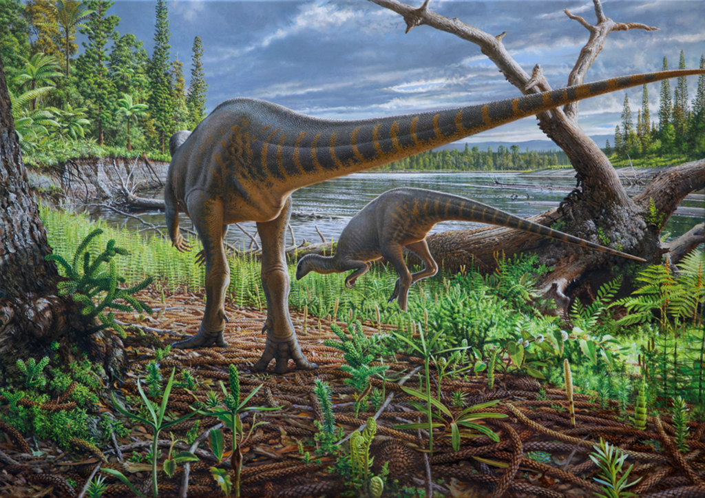 The prehistoric forest that covered Antarctica 90 million years ago was so dense and so warm that the trees grew through polar night - and the fossils that prove it are extraordinary.