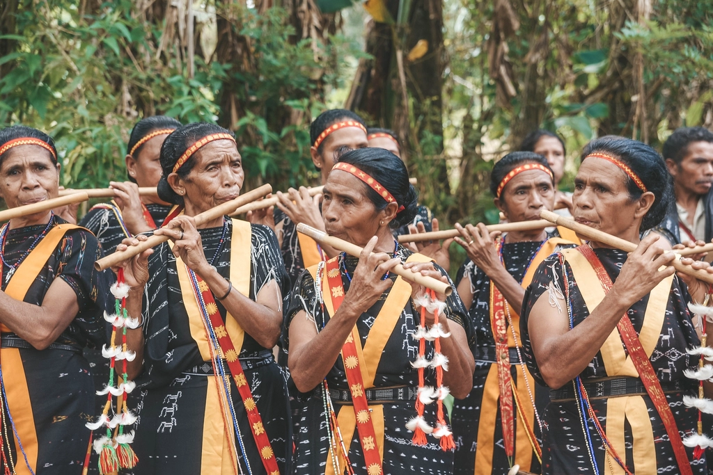 Anthropology Says Every Known Human Culture Developed Music Independently - and Solved the Same Acoustical Problems With Instruments Built From Different Materials