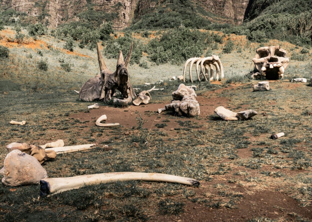 Geology says there have been five mass extinction events in Earth's history and scientists are currently debating whether the planet is entering a sixth - caused by a species rather than an asteroid