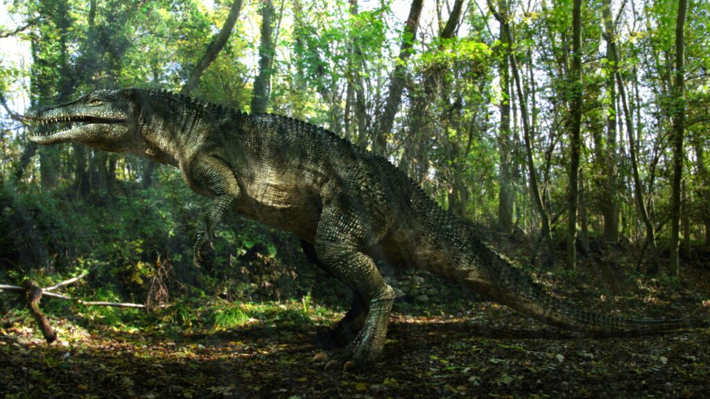 The prehistoric crocodile that ran on two legs hunted on land and was faster than most of the dinosaurs it shared a continent with - and the fossil record that confirms every detail