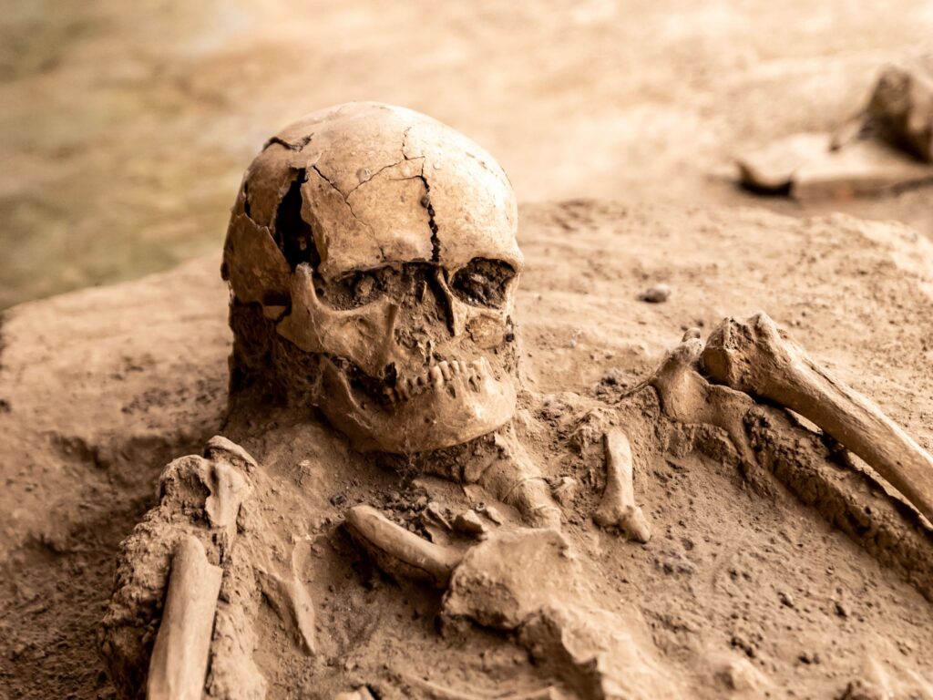 What Fossil Would Future Scientists Find From Your Zodiac Sign?