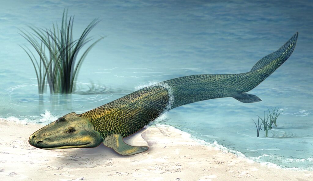 Science says the first animals to leave the ocean walked onto land approximately 375 million years ago in what is now Canada - and we know the species, its approximate size and what it ate