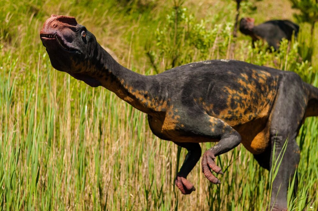 Palaeontology says some dinosaurs may have been capable of recognising individual faces - and the evidence behind that claim is harder to dismiss than you'd expect.