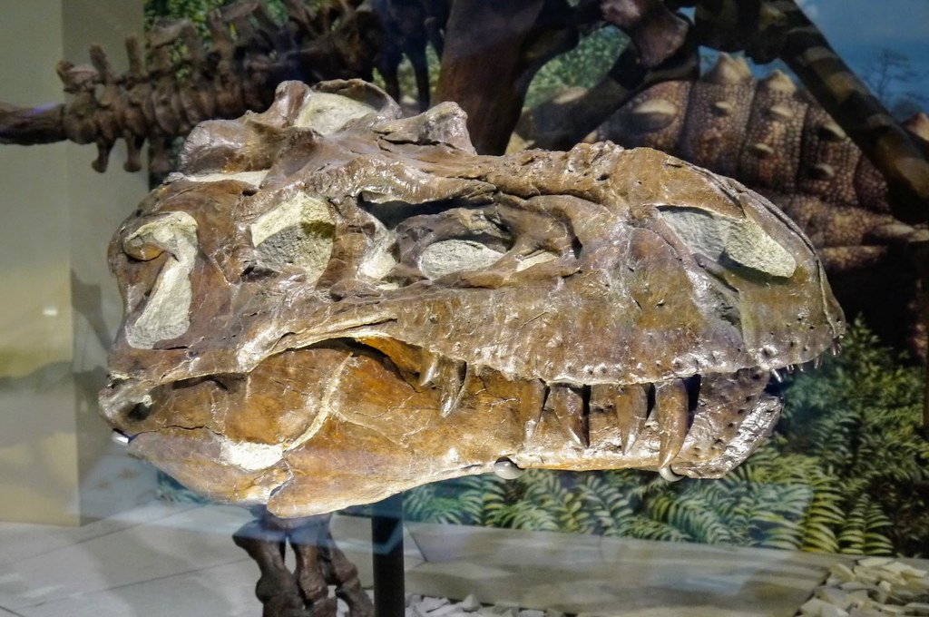 7 Dinosaur Fossils That Scientists Almost Missed