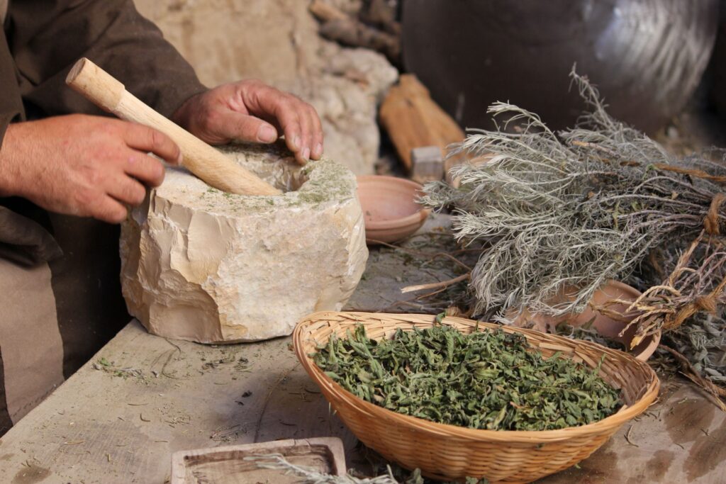 Anthropology Says Ancient Humans Who Painted Animals on Cave Walls With Anatomical Accuracy Were Likely Also Treating Them Medicinally - and the Plants Found at Those Sites Confirm It