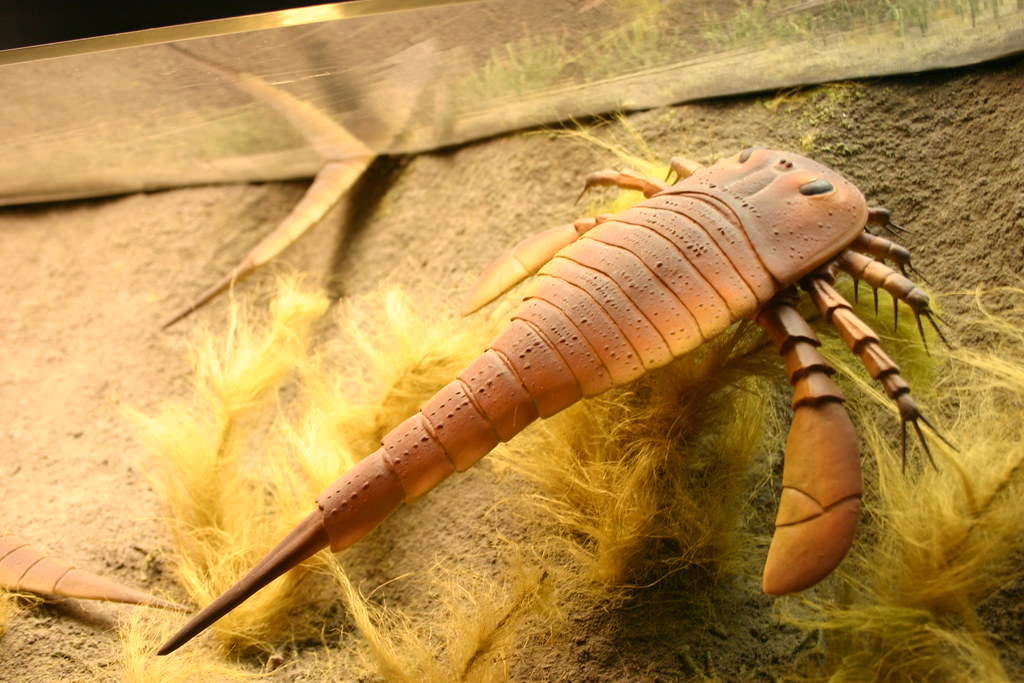Which Ancient Sea Creature Matches Your Zodiac Sign?