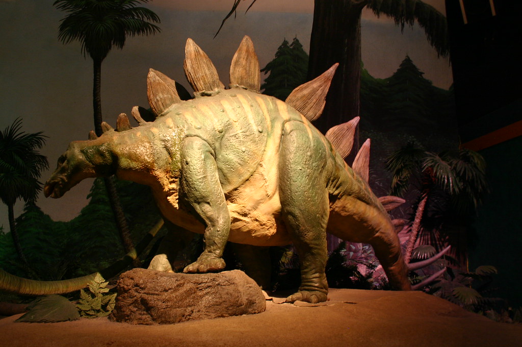 12 Hidden Facts About the Stegosaurus Museums Almost Never Mention