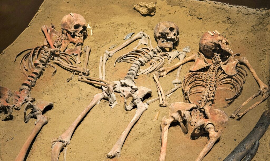 7 Human Ancestors You've Probably Never Heard Of