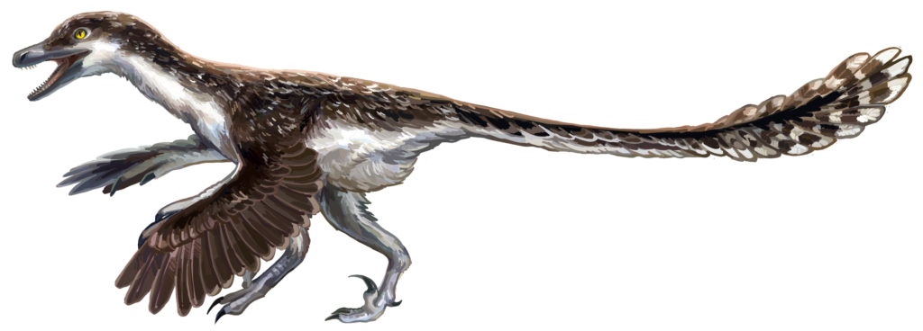 13 Velociraptor Facts Nearly Every Dinosaur Fan Gets Completely Wrong