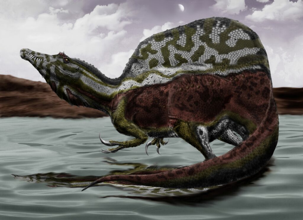 11 Things Every Dinosaur Fan Thinks They Know About the Spinosaurus That Are Wrong
