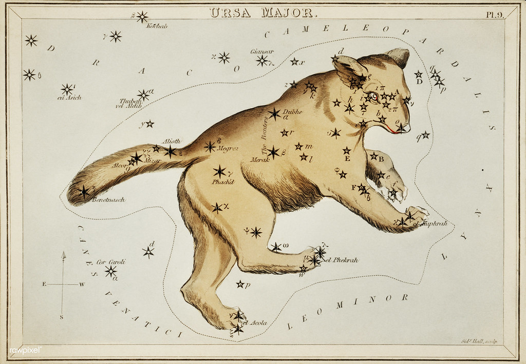 Which Ancient Animal Instinct Reflects Your Zodiac?