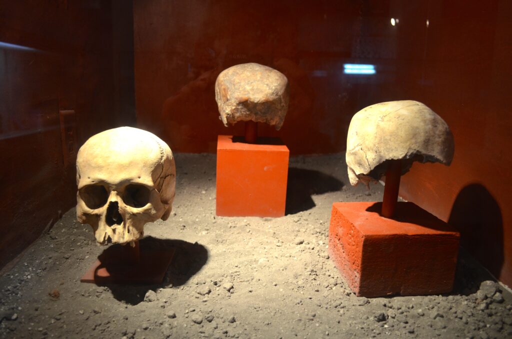 Which Ancient Human Species Matches Your Zodiac Sign?