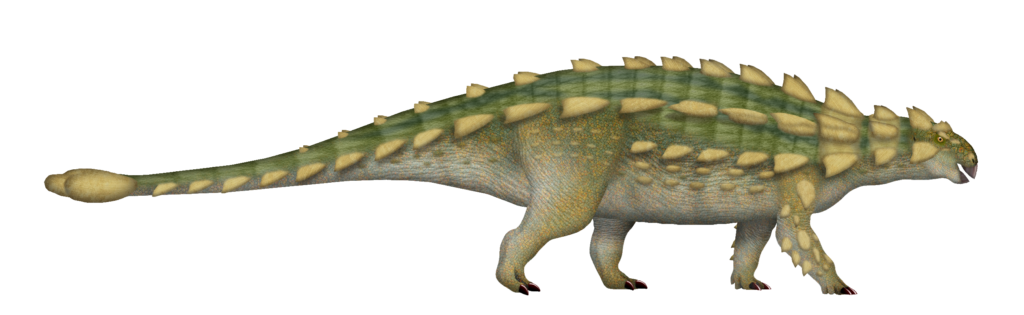 Ankylosaurus Did Not Use Its Tail Club the Way Every Movie Shows - Scientists Now Think the Real Purpose Was Far More Interesting