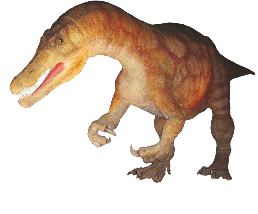 Baryonyx Was Discovered by an Amateur With a Hammer in a Surrey Clay Pit and Turned Out to Be One of the Most Important Finds in British Paleontology