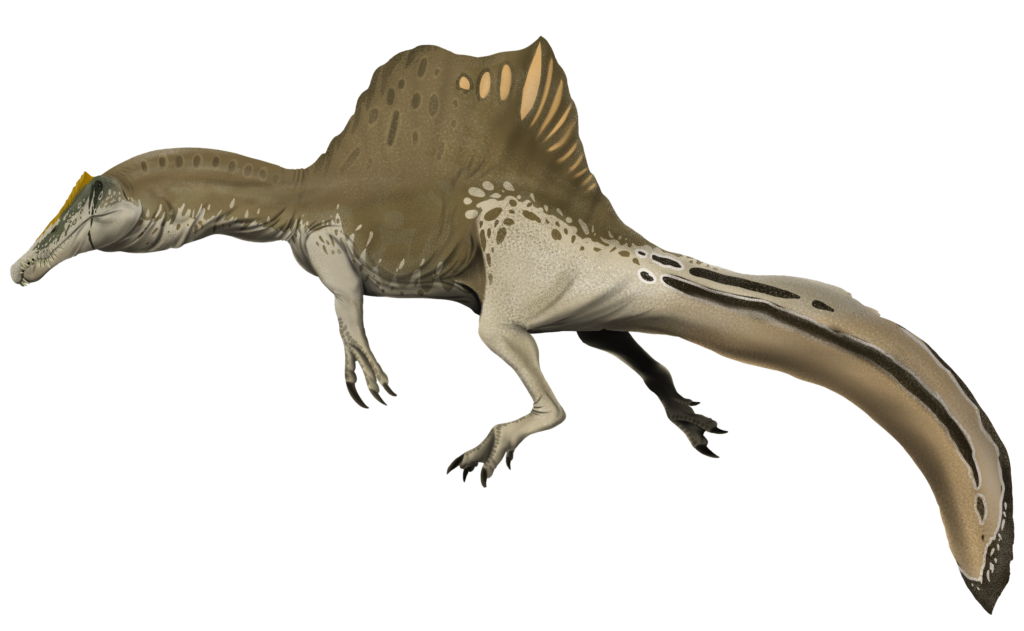 The Spinosaurus Was Bigger Than T. Rex and Lived in a World So Different It Might As Well Have Been Another Planet