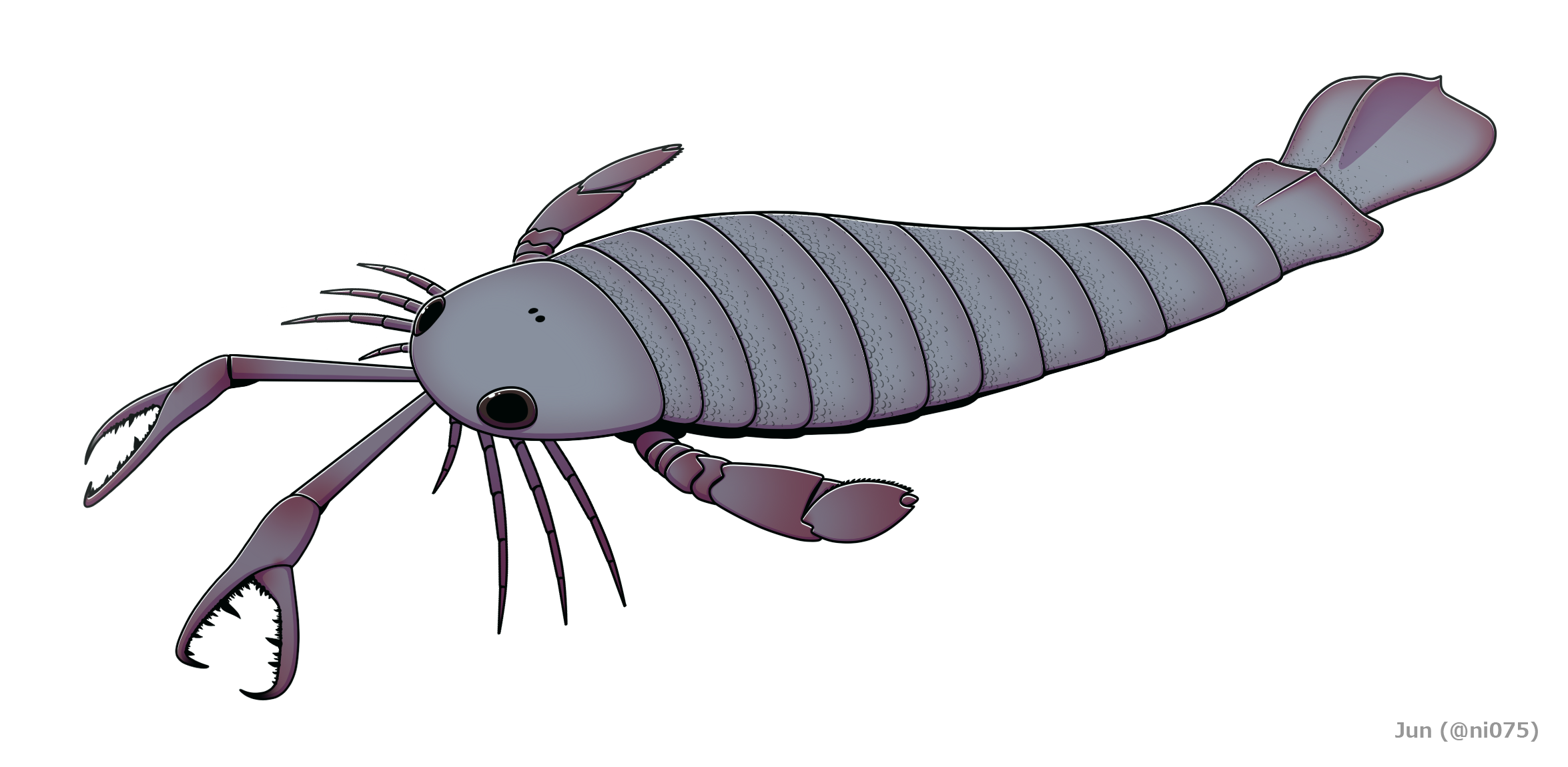 #17 - Jaekelopterus, The Sea Scorpion With Human-Sized Claws 