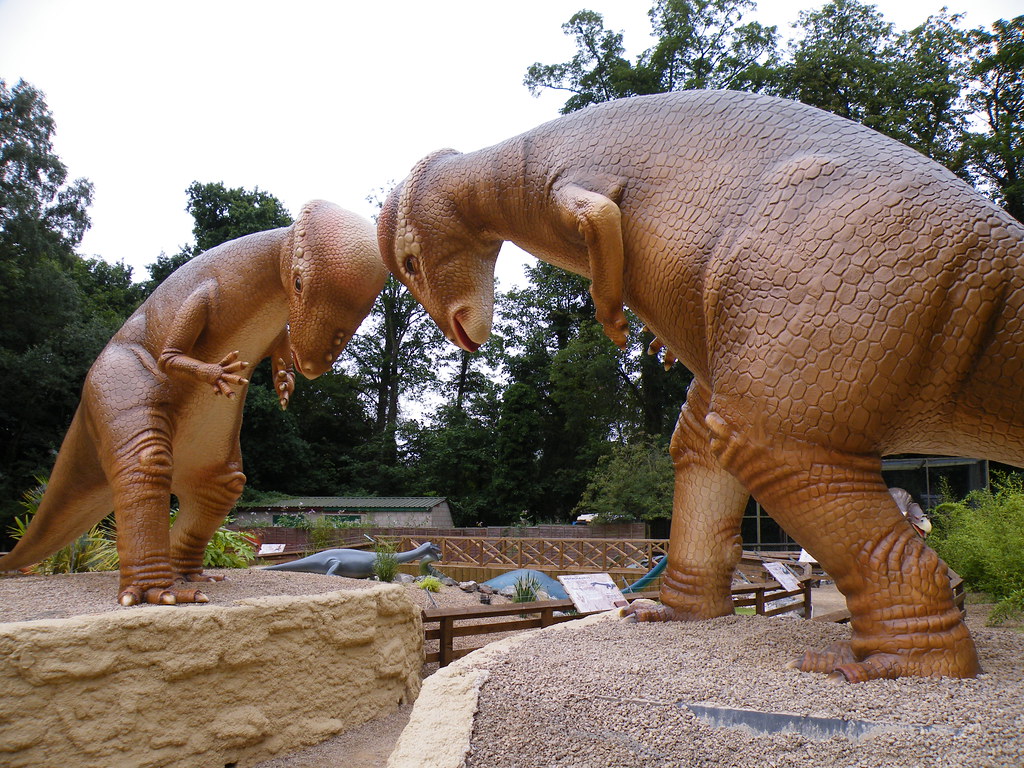 Pachycephalosaurus Did Not Headbutt the Way Every Textbook Said - and the Real Behavior Paleontologists Now Suspect Is Completely Different