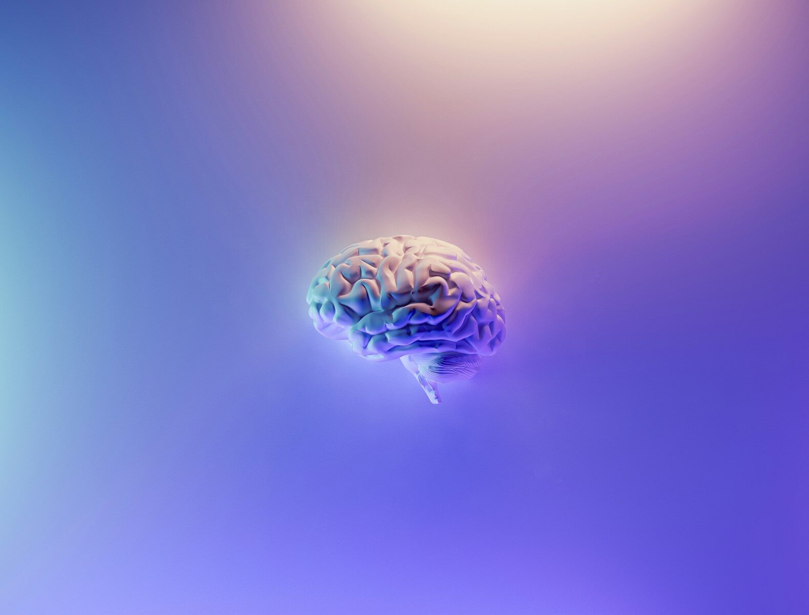 What Happens Inside A Frozen Human Brain