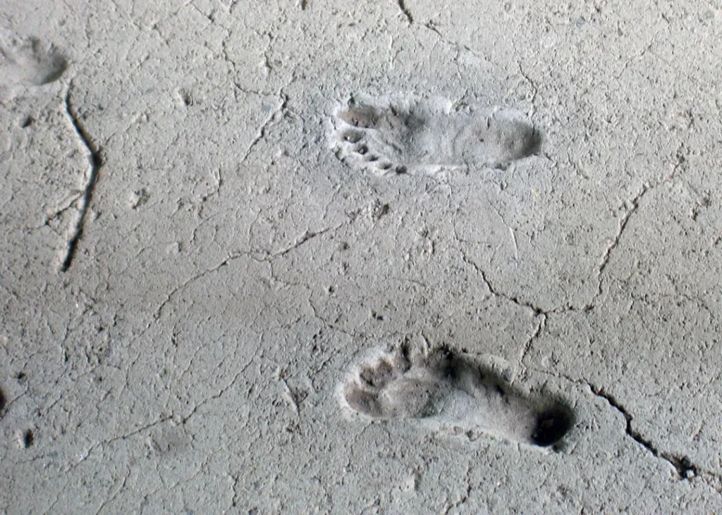 The prehistoric human footprints discovered in New Mexico that were so well-preserved and so old that scientists initially refused to publish the findings because the implications were too significant
