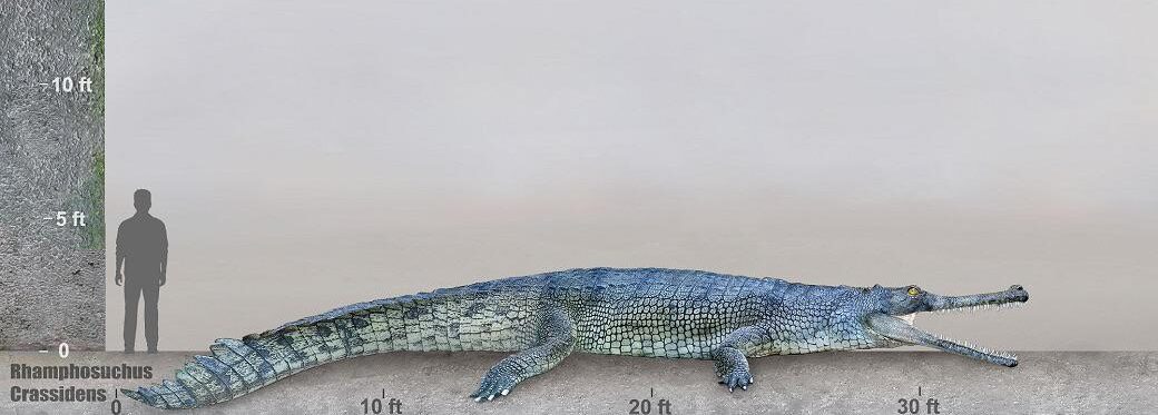 Rhamphosuchus – The Crocodile Giant That Blurred Land and Sea