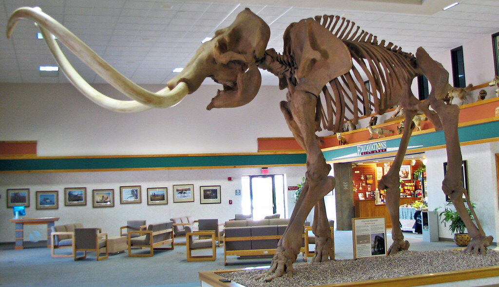 Taurus – Woolly mammoth, the steady earth guardian 