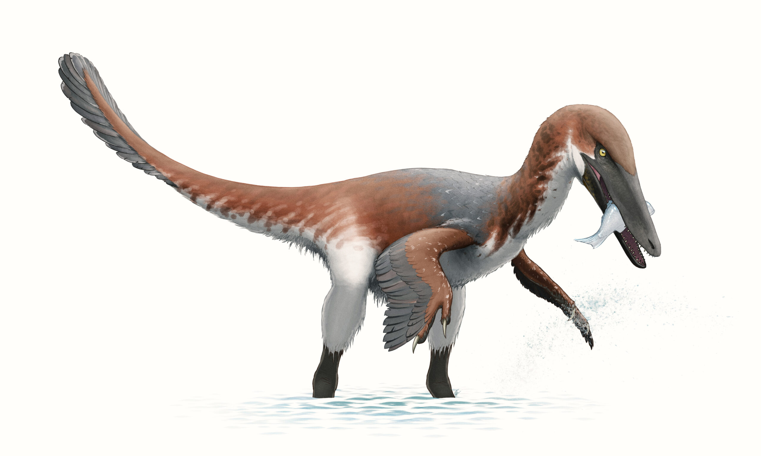 6. A Feathered Hunter in a Changing Cretaceous World