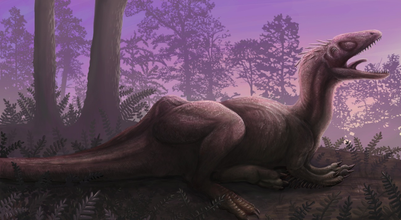 Life and Behavior: A Predator That Stood Out