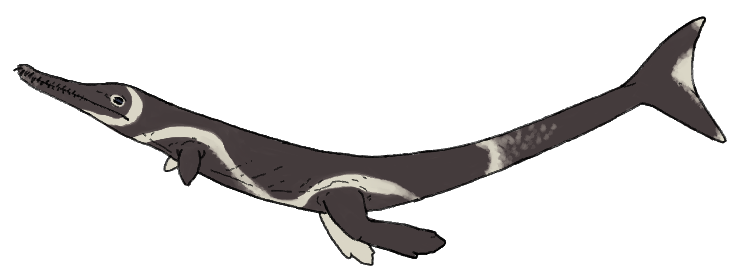 8. Cricosaurus – The Agile Coastal Croc of the Jurassic Surf