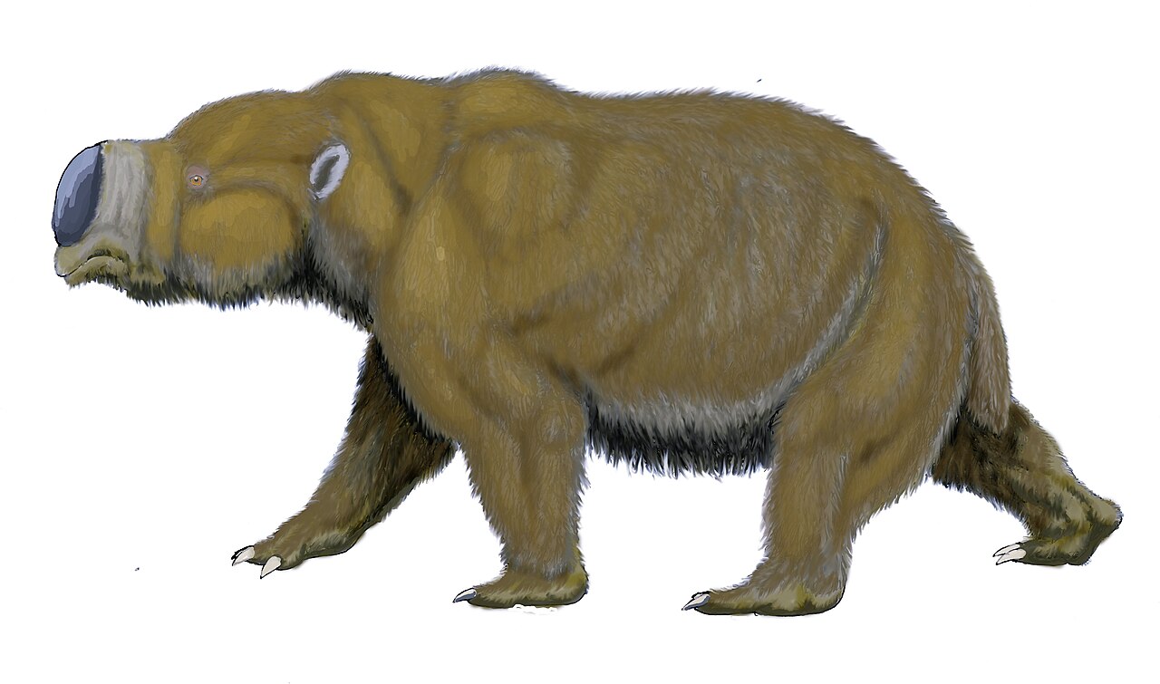 4. Diprotodon: The Bus‑Sized Wombat of Ancient Australia