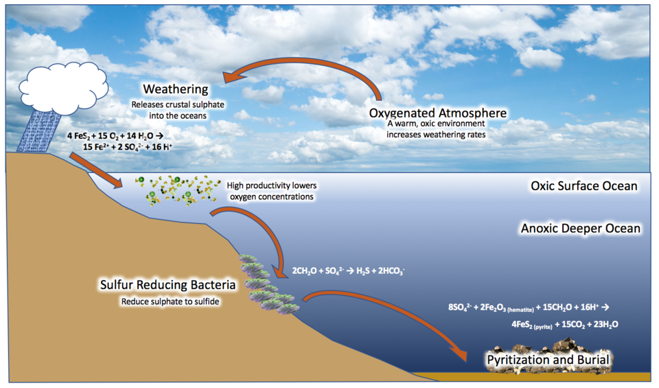 3. Vast “Canfields” of Sulfur‑Rich, Stinking Water