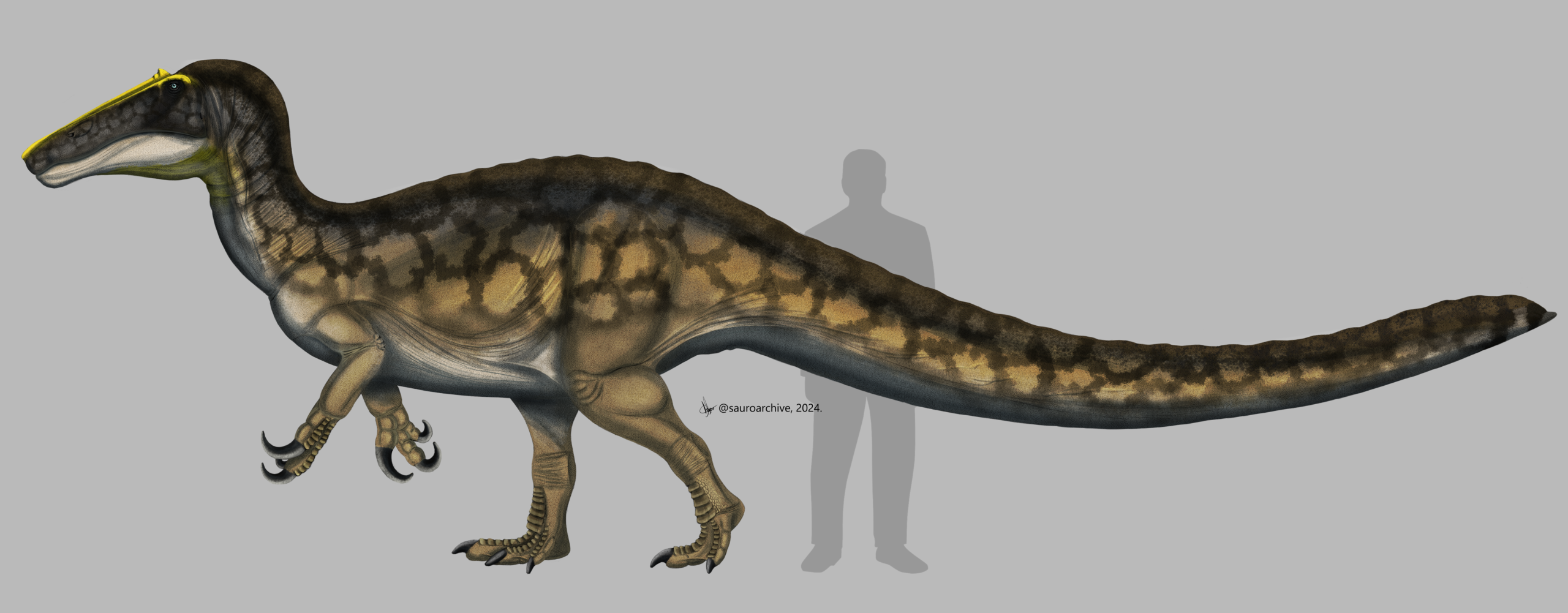 A Personal Take: What Irritator Tells Us About Dinosaurs and Ourselves