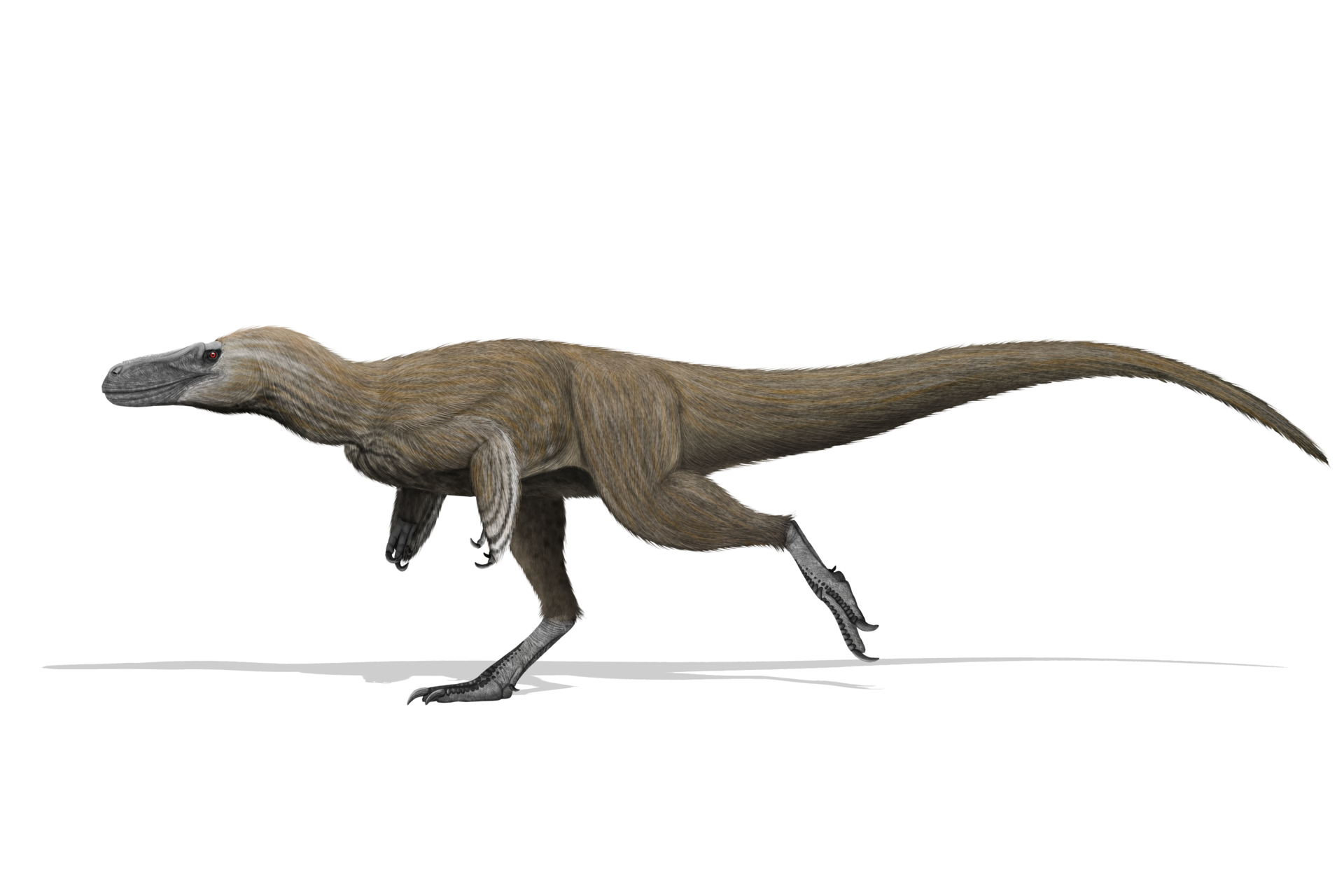 Moros intrepidus: A Tiny Tyrannosaur in the American Interior