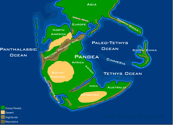 The Tethys Sea: The Ocean Between Lost Worlds 