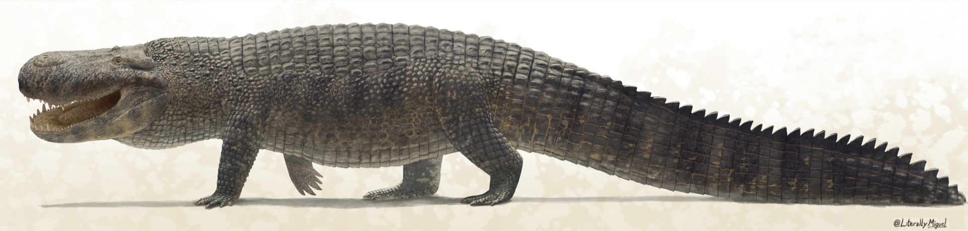 #9 - Purussaurus, The Caiman That Grew Bigger Than a School Bus