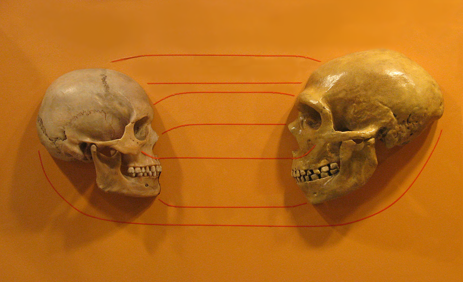 Out‑competing other hominins: what the archaeological record hints at 