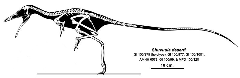 Arms Like a One‑Clawed Power Tool: Digging, Tearing, or Something Stranger?