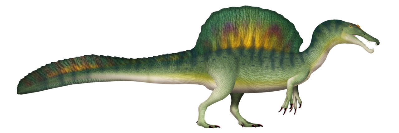 #7 - "Spinosaurus Was A Generalist Apex Predator That Ate Everything" 