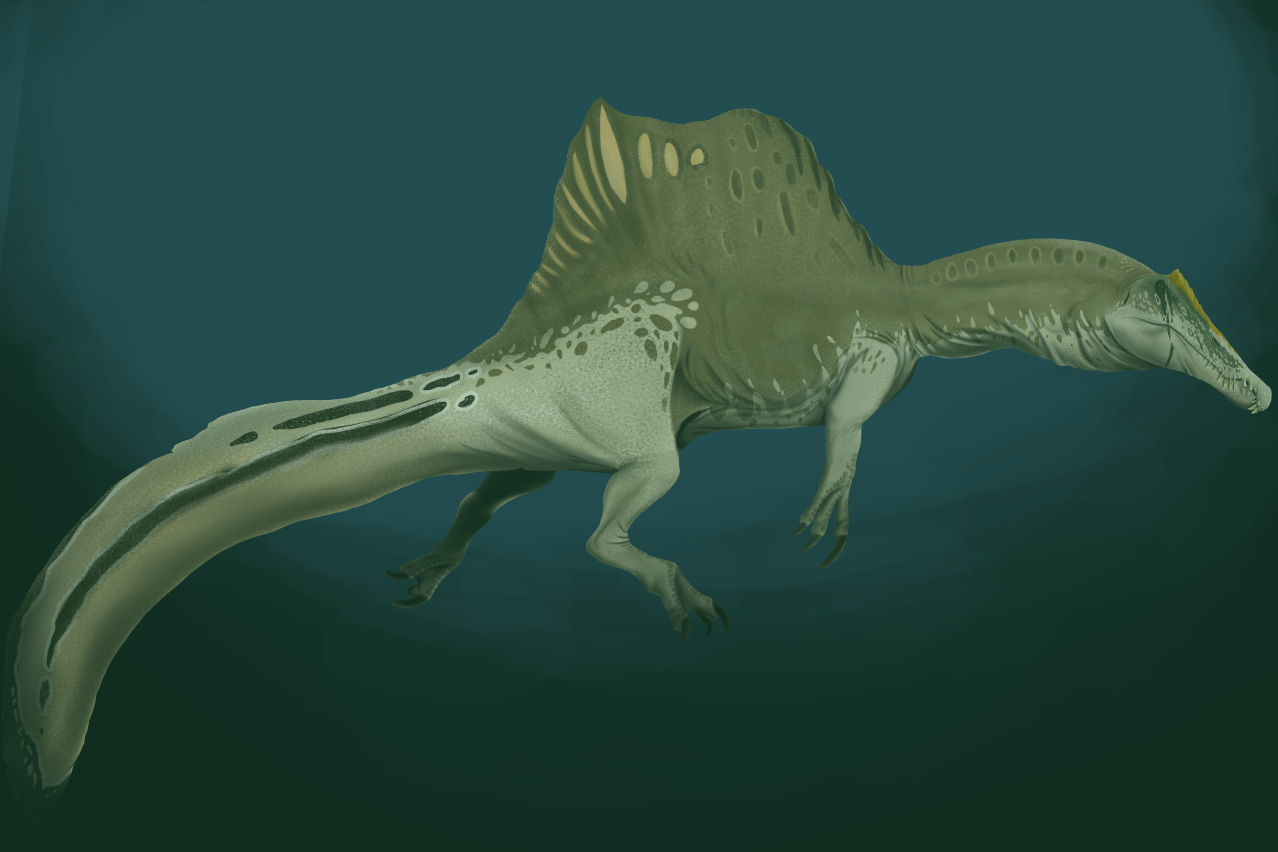 #4 - "Spinosaurus Hunted Out In The Open Ocean"