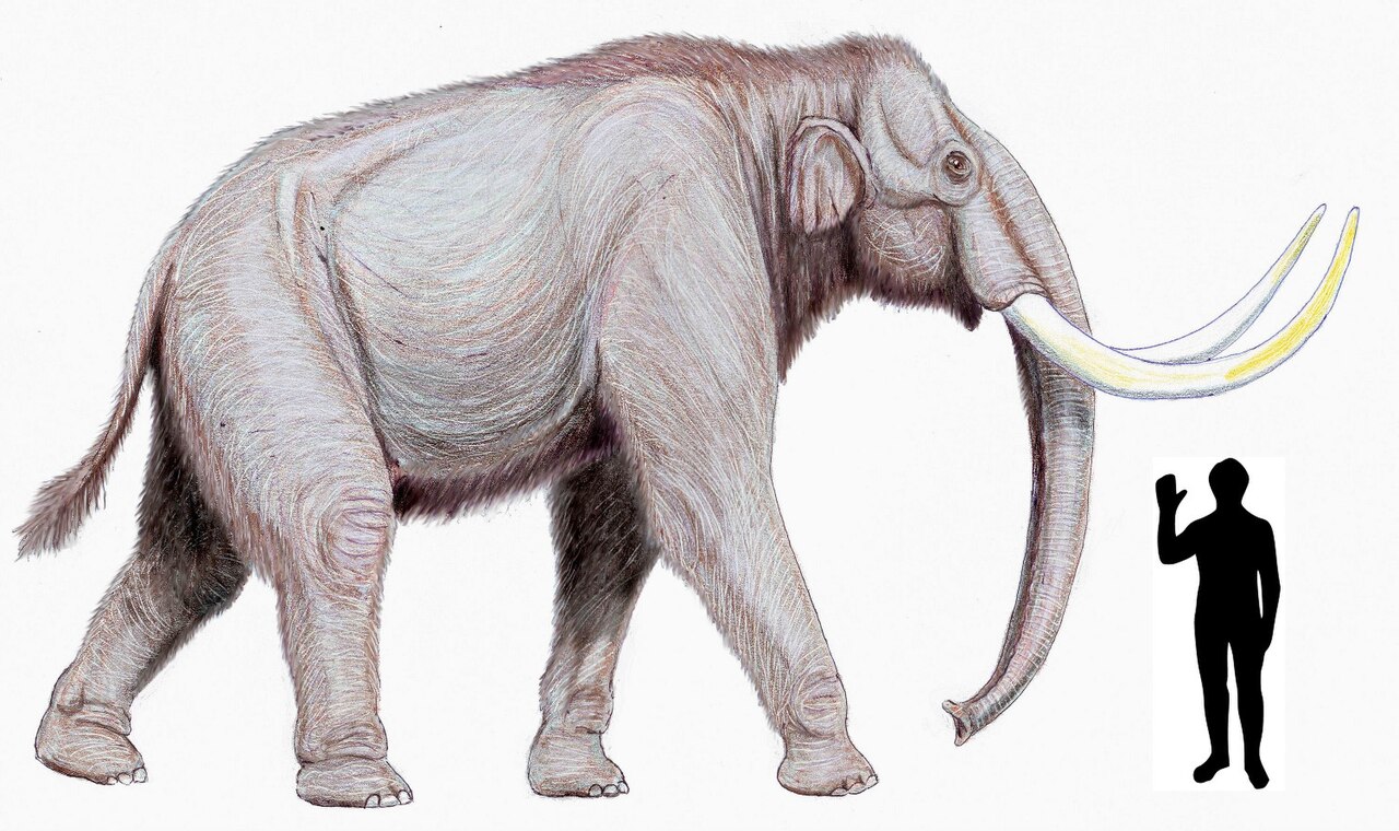 The Steppe Mammoth: The Elephant’s Terrifying Big Cousin