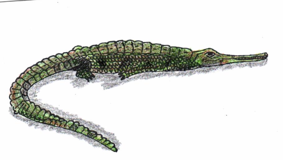 9. Teleosaurus – The Long-Snouted Missile of Estuaries and Lagoons