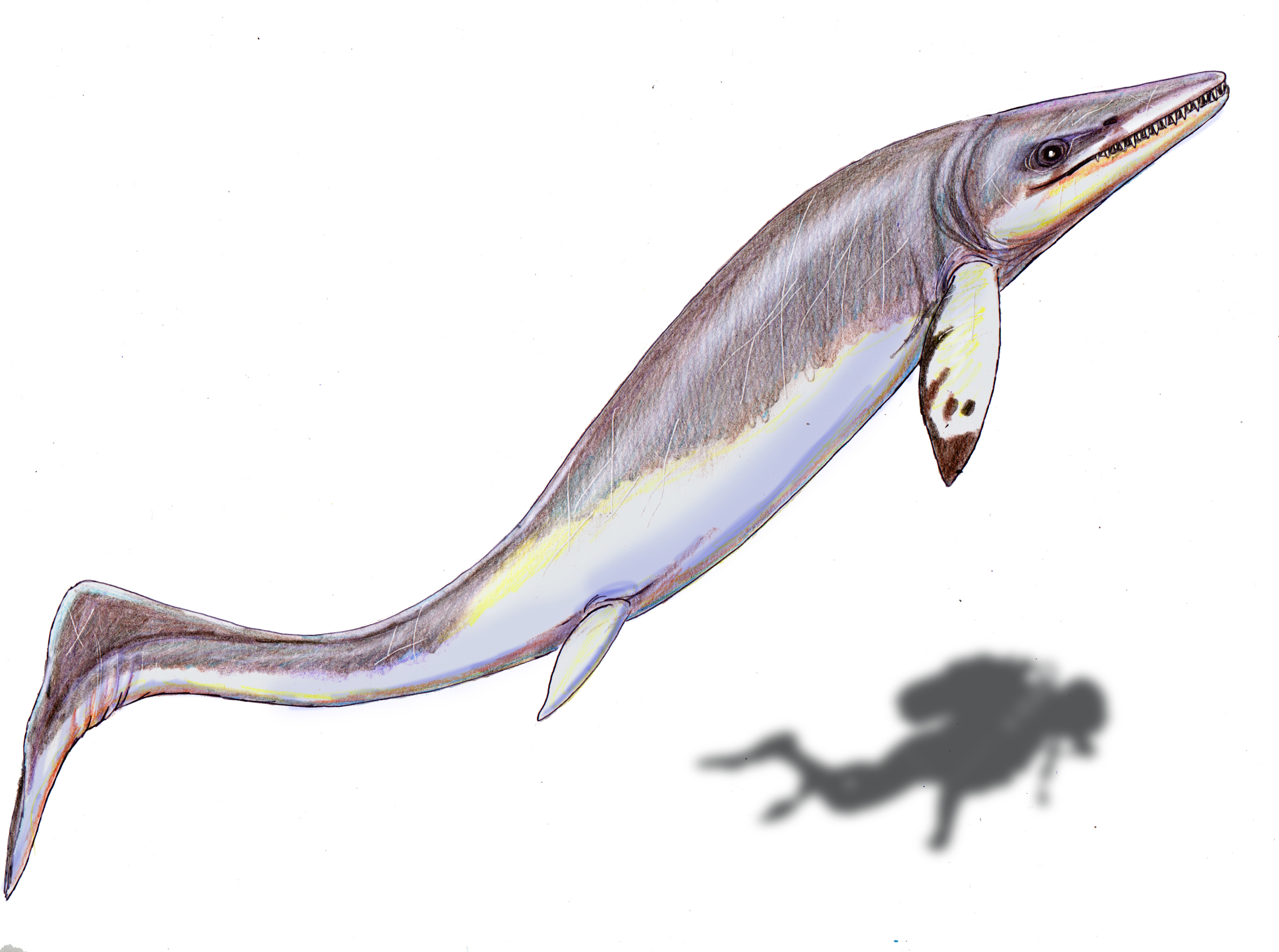 3. Thalattoarchon – The Giant That Ate Its Own Kind