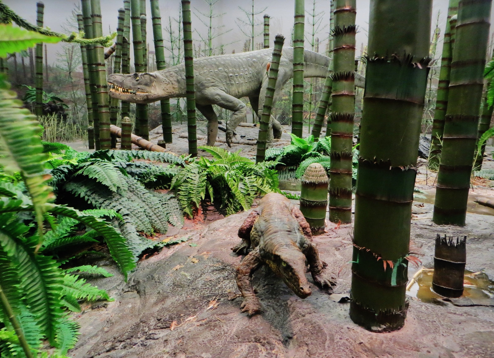 Before the giants: the Triassic beginnings that almost no one talks about
