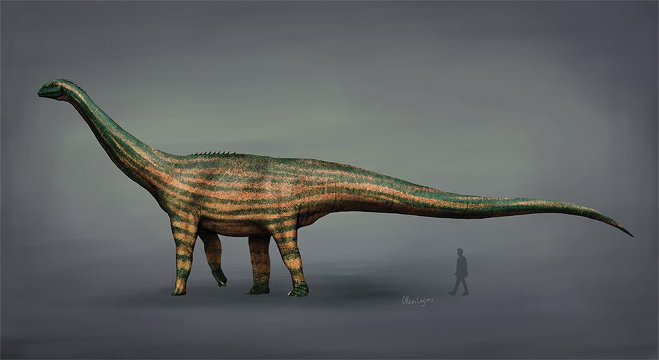 Turiasaurus riodevensis: Europe’s unexpected giant