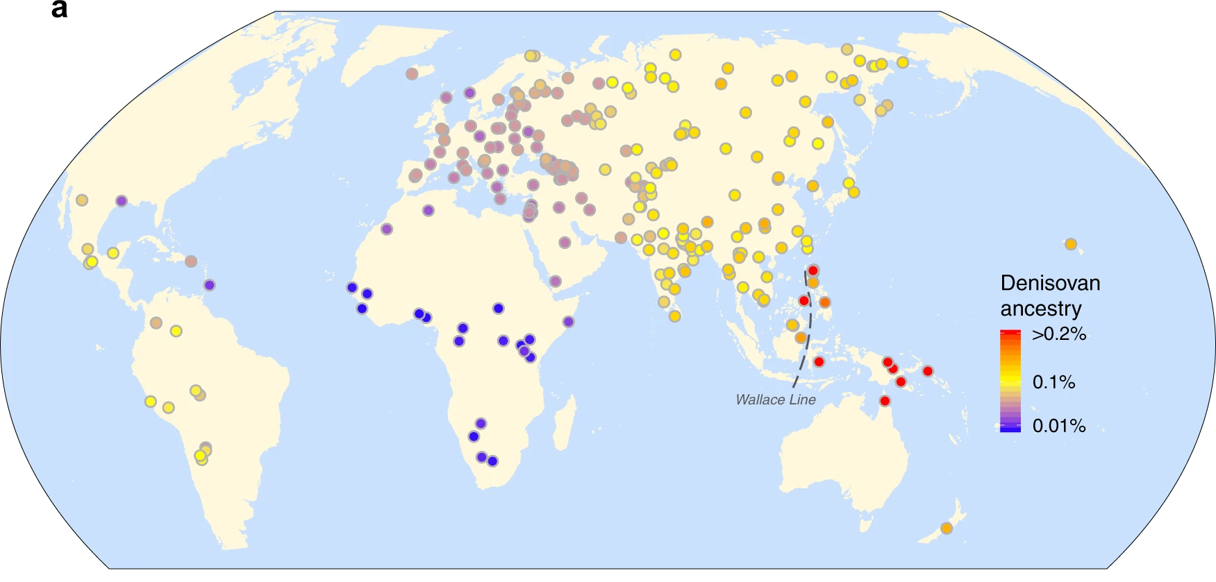Conclusion: Why Denisovans Should Change How We See Ourselves